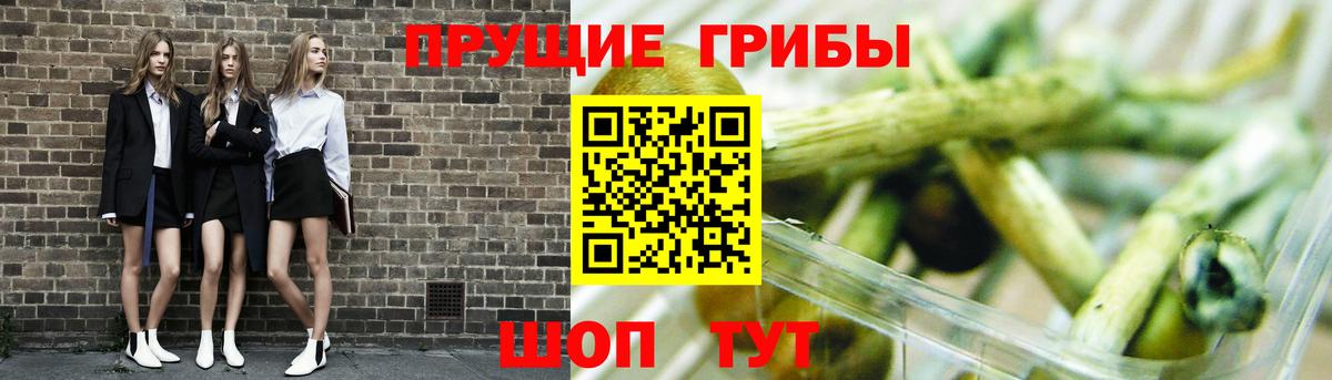 Галлюциногенные грибы мицелий  Вход с VPN  Стрежевой 